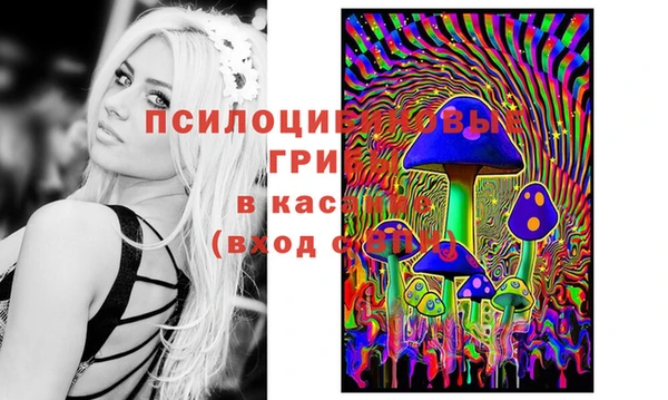 дживик Балахна