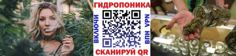 цены наркотик  Шагонар  Конопля VHQ 